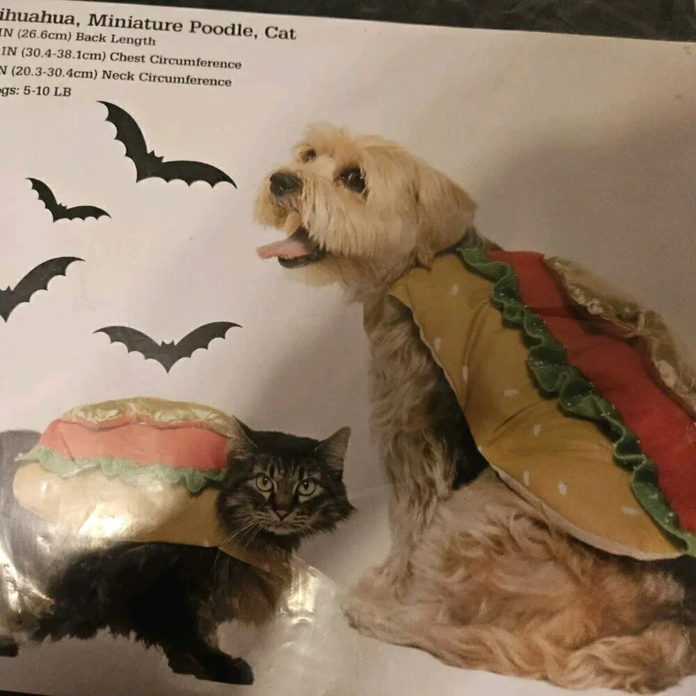 Vibrant Life Dog Cat Pet Halloween Hot Dog Costume Size XS 5-10 Pounds New